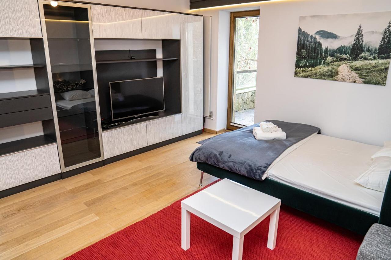 Studio 14 Braşov Extérieur photo